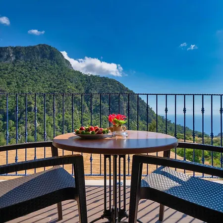 Villa Pine Private Located In A Quiet And Picturesque Location